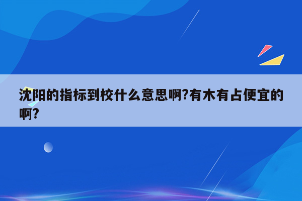 沈阳的指标到校什么意思啊?有木有占便宜的啊?