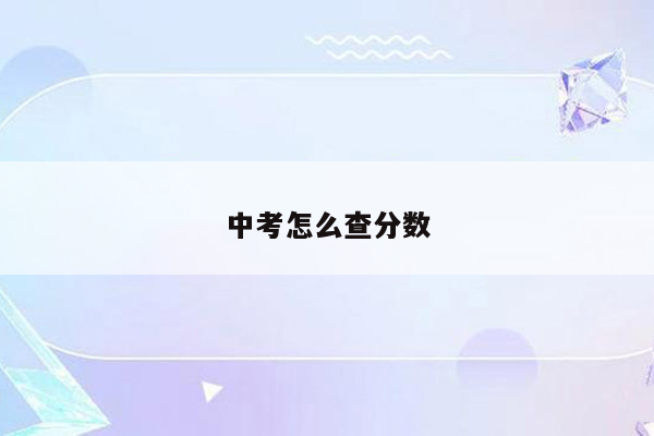 中考怎么查分数