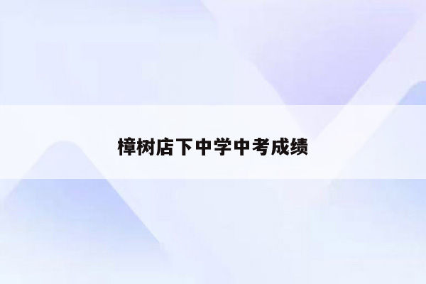 樟树店下中学中考成绩