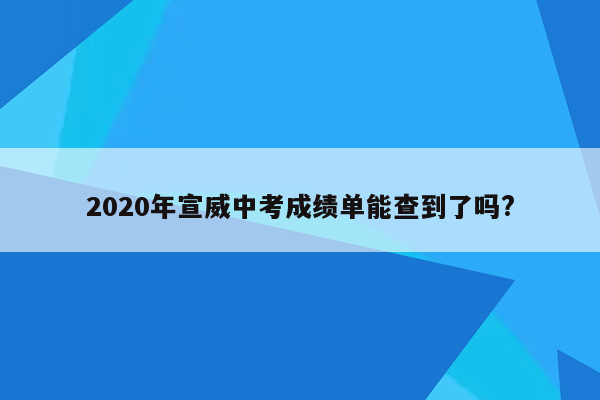 2020年宣威中考成绩单能查到了吗?