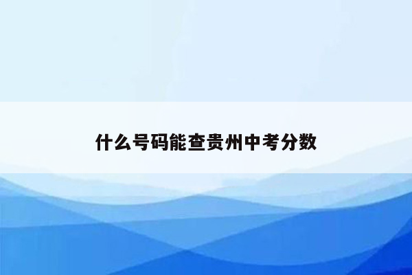 什么号码能查贵州中考分数