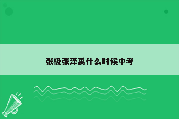张极张泽禹什么时候中考