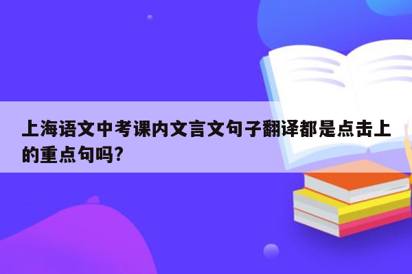 上海语文中考课内文言文句子翻译都是点击上的重点句吗?