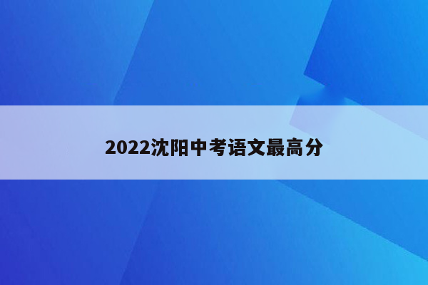 2022沈阳中考语文最高分