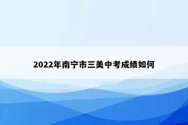 2022年南宁市三美中考成绩如何