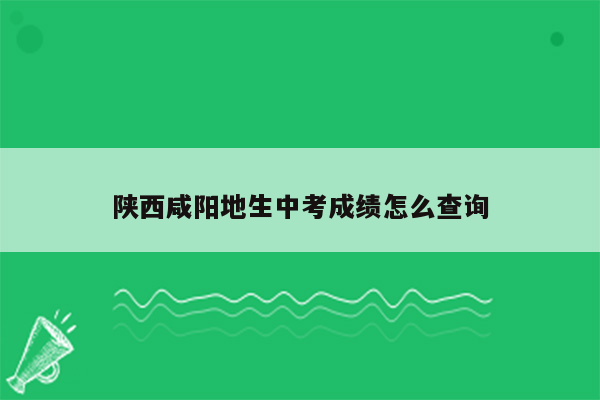 陕西咸阳地生中考成绩怎么查询