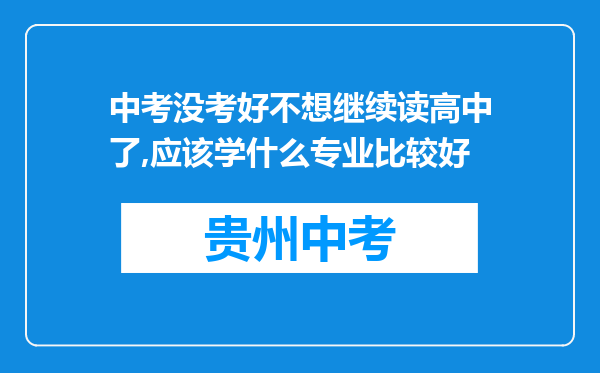 中考没考好不想继续读高中了,应该学什么专业比较好