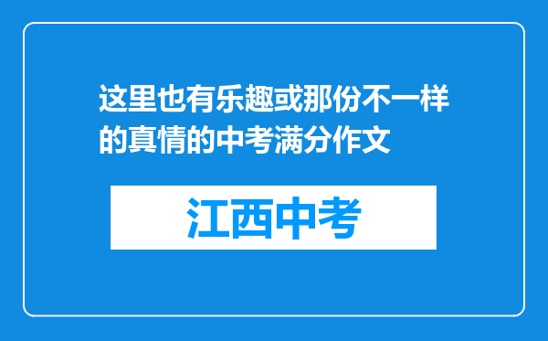 这里也有乐趣或那份不一样的真情的中考满分作文