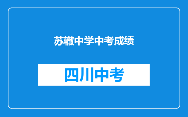 苏辙中学中考成绩