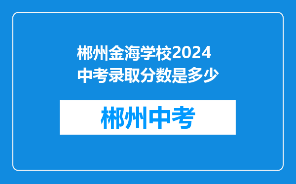 郴州金海学校2024中考录取分数是多少