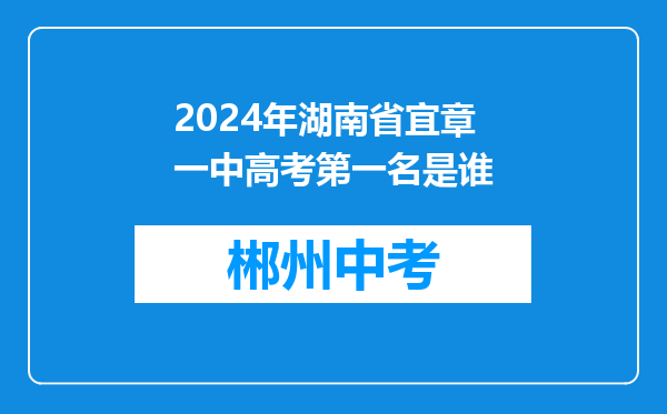 2024年湖南省宜章一中高考第一名是谁