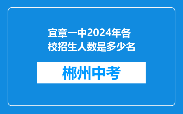 宜章一中2024年各校招生人数是多少名