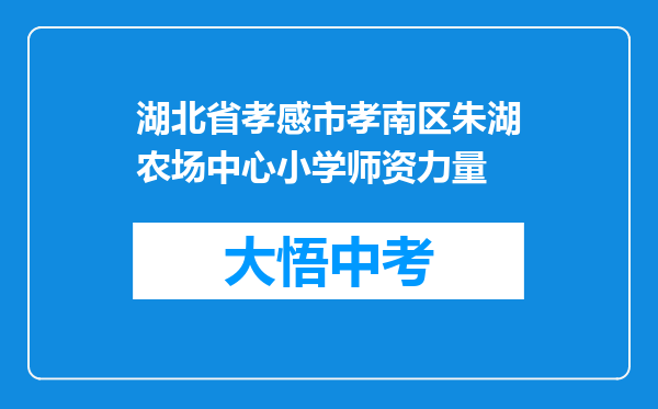 湖北省孝感市孝南区朱湖农场中心小学师资力量