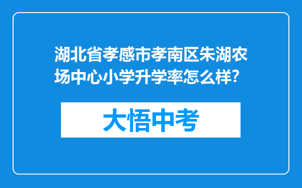 湖北省孝感市孝南区朱湖农场中心小学升学率怎么样？