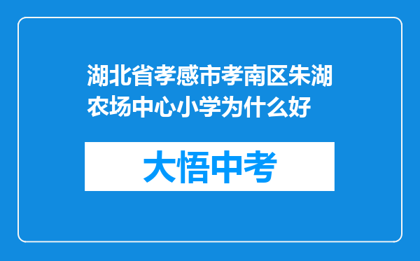 湖北省孝感市孝南区朱湖农场中心小学为什么好