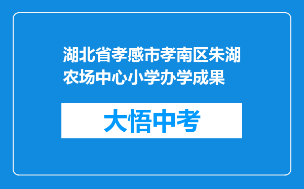 湖北省孝感市孝南区朱湖农场中心小学办学成果