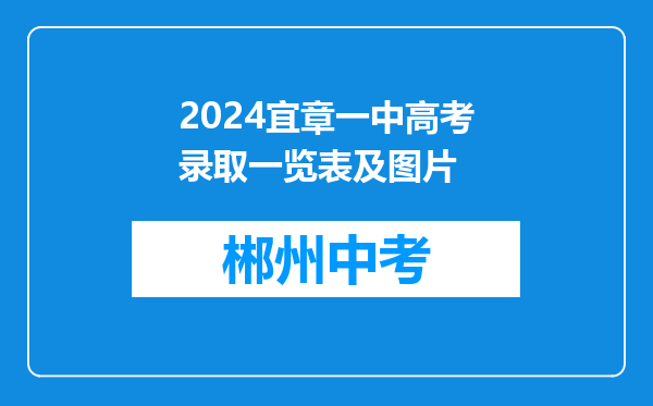 2024宜章一中高考录取一览表及图片