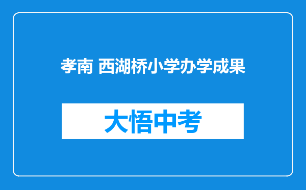 孝南 西湖桥小学办学成果