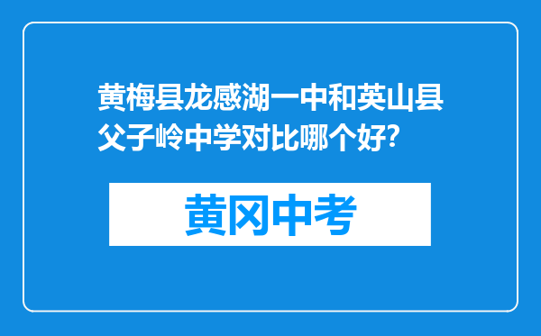 黄梅县龙感湖一中和英山县父子岭中学对比哪个好？