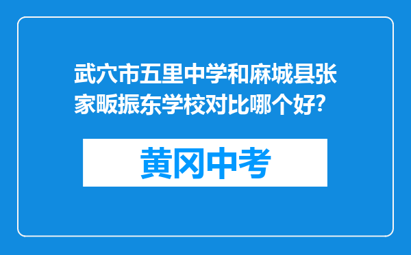 武穴市五里中学和麻城县张家畈振东学校对比哪个好？