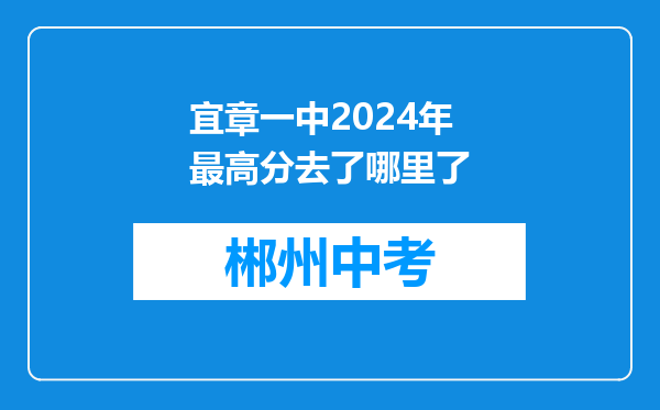 宜章一中2024年最高分去了哪里了