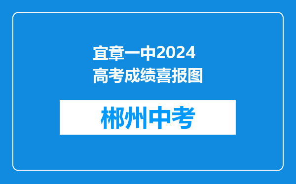宜章一中2024高考成绩喜报图