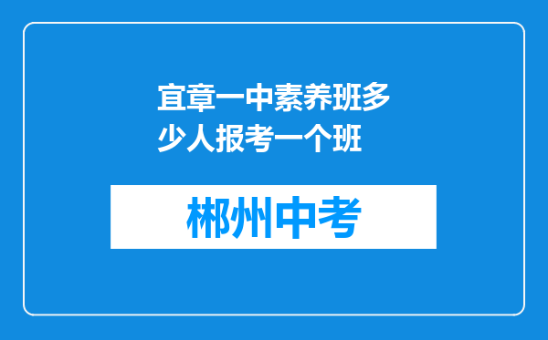 宜章一中素养班多少人报考一个班