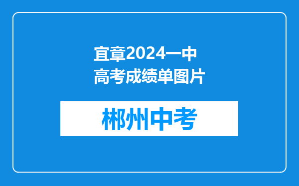 宜章2024一中高考成绩单图片