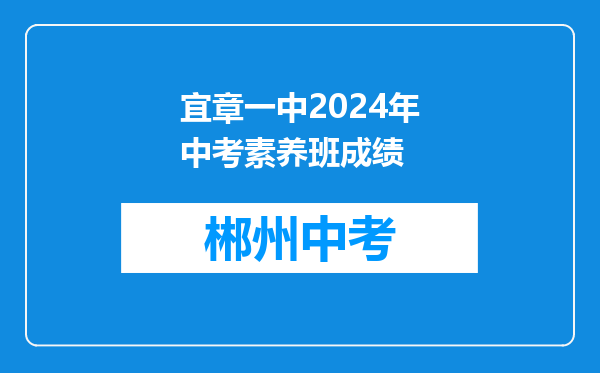 宜章一中2024年中考素养班成绩