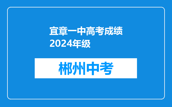宜章一中高考成绩2024年级
