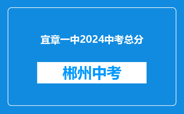 宜章一中2024中考总分