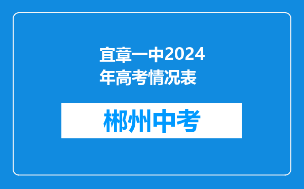 宜章一中2024年高考情况表