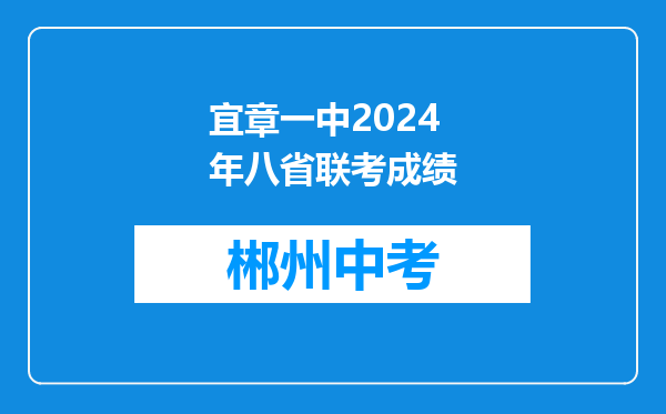 宜章一中2024年八省联考成绩