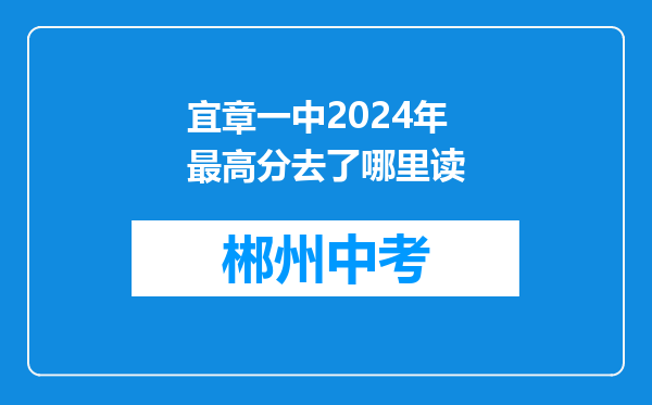 宜章一中2024年最高分去了哪里读