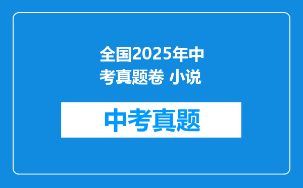 全国2025年中考真题卷 小说