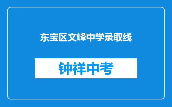 东宝区文峰中学录取线
