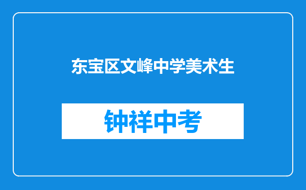东宝区文峰中学美术生