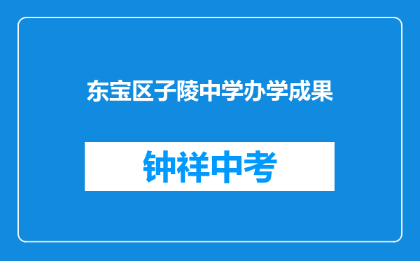 东宝区子陵中学办学成果