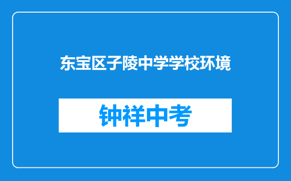 东宝区子陵中学学校环境