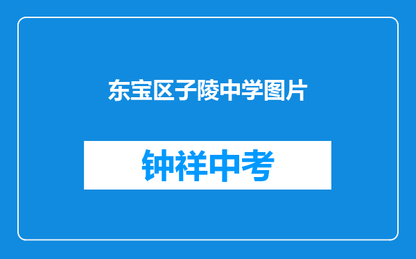 东宝区子陵中学图片