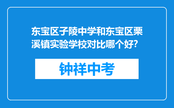 东宝区子陵中学和东宝区栗溪镇实验学校对比哪个好？