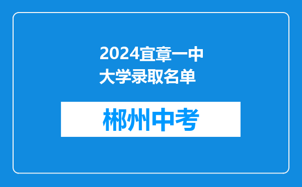 2024宜章一中大学录取名单