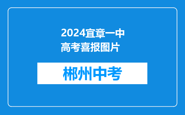 2024宜章一中高考喜报图片