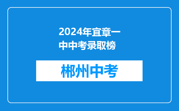 2024年宜章一中中考录取榜