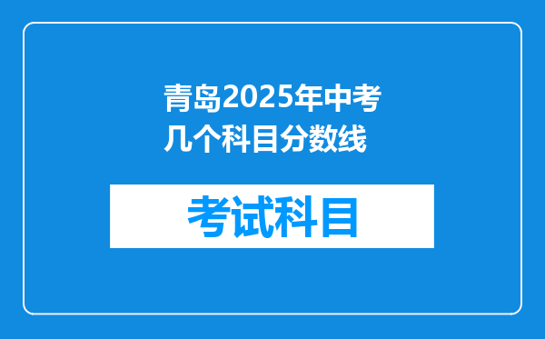 青岛2025年中考几个科目分数线