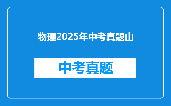 物理2025年中考真题山