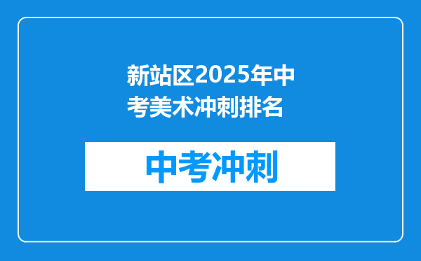 新站区2025年中考美术冲刺排名