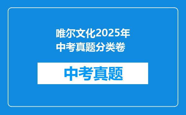 唯尔文化2025年中考真题分类卷