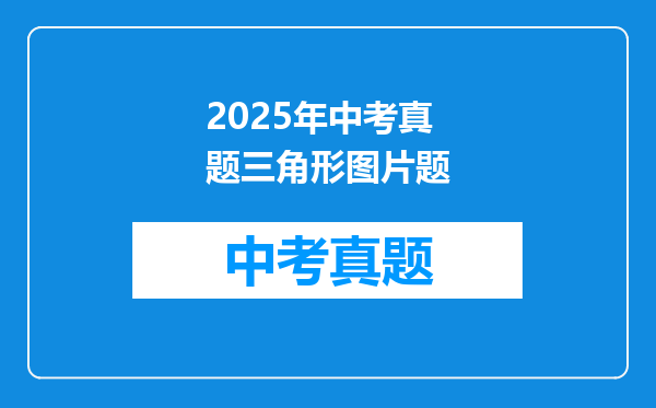 2025年中考真题三角形图片题