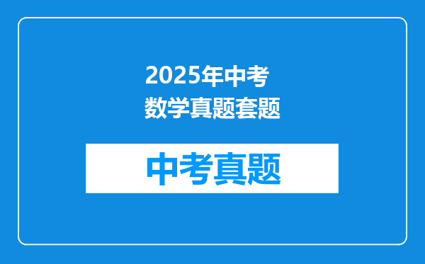 2025年中考数学真题套题